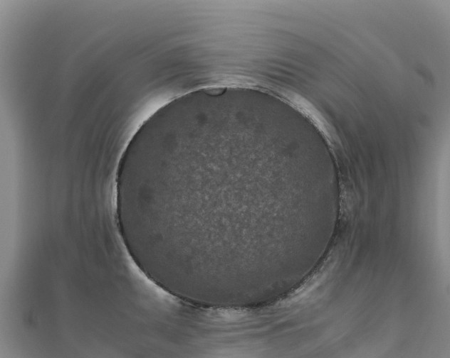 X0000110731095200906191521