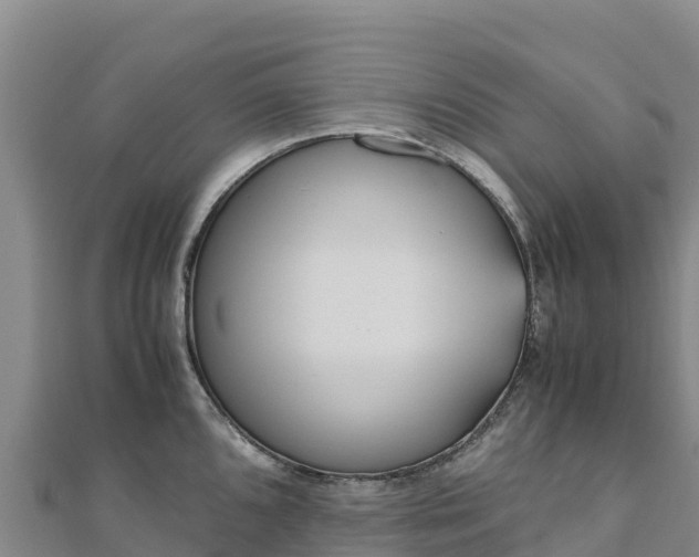 X0000110731096200906191521