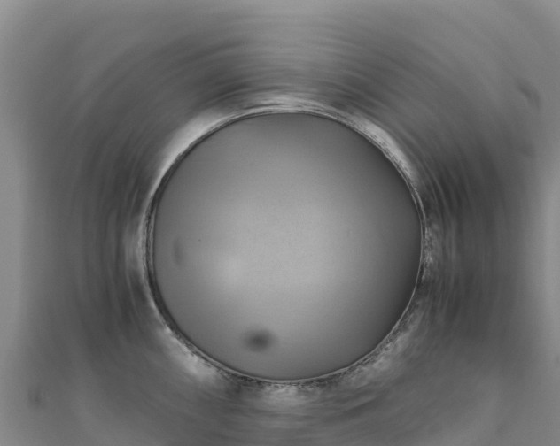 X0000110731098200906191521