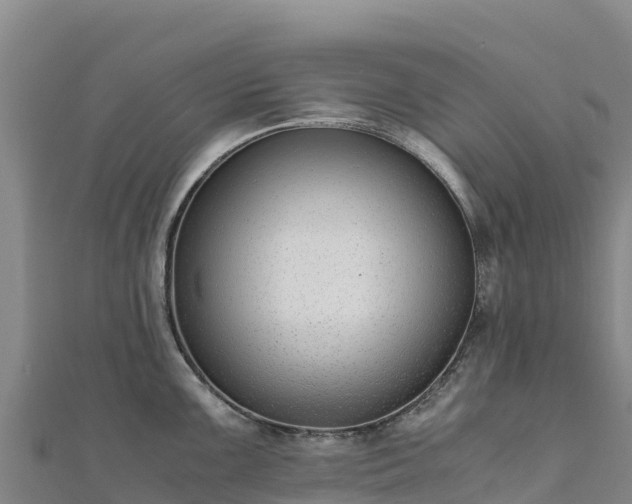 X0000110731099200906191521