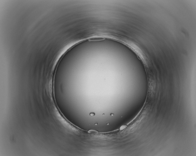 X0000110731100200906191521