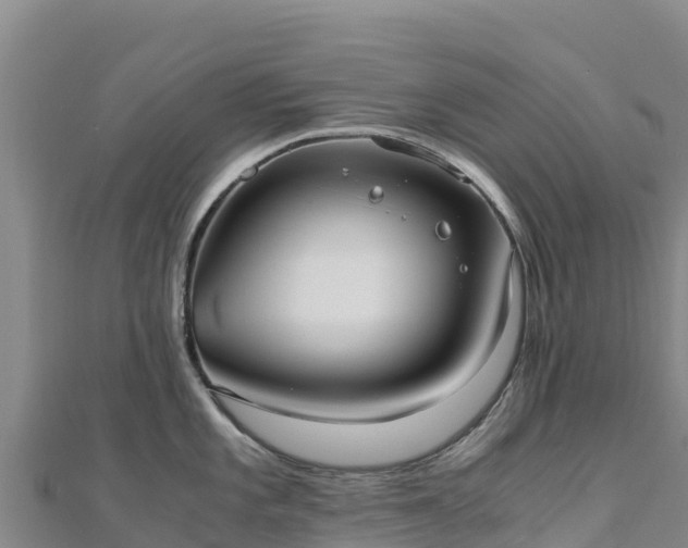 X0000110731101200906191521