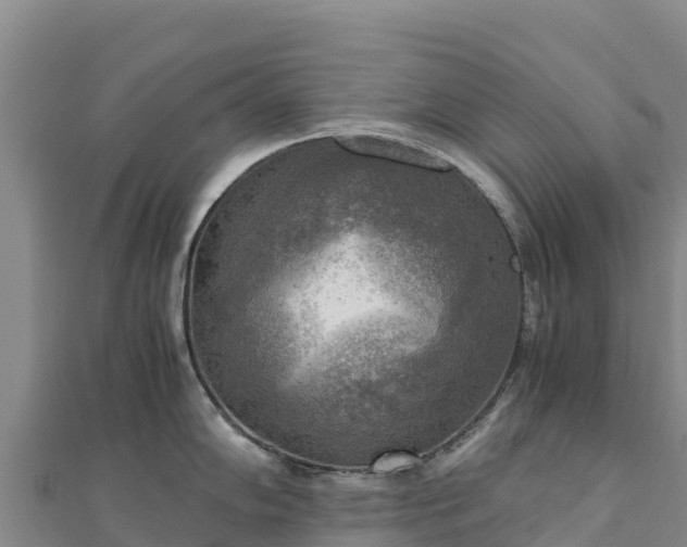 X0000110731102200906191521