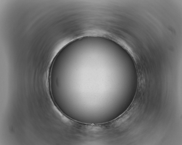 X0000110731103200906191521