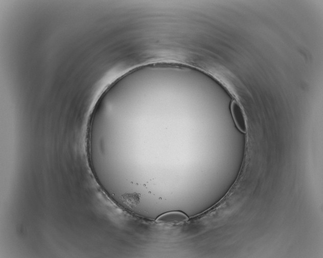 X0000110731104200906191521