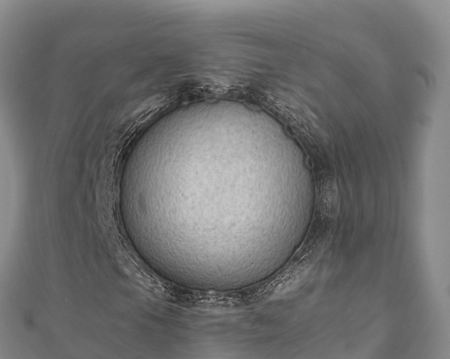 X0000110731105200906191520