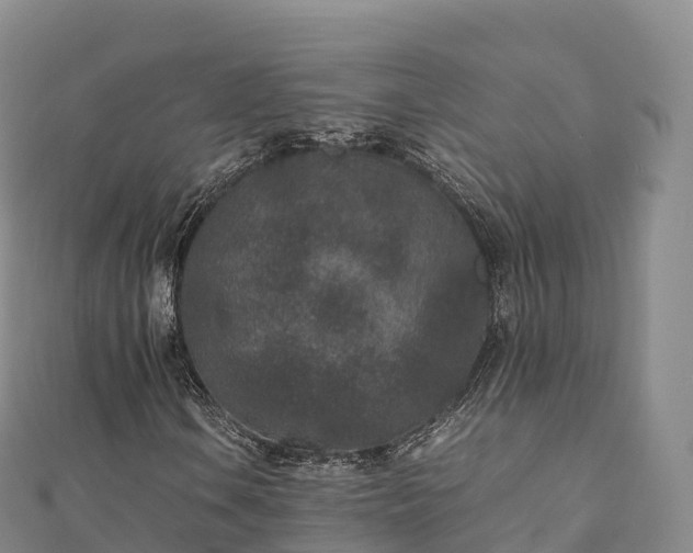 X0000110731106200906191520