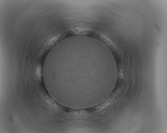 X0000110731108200906191520