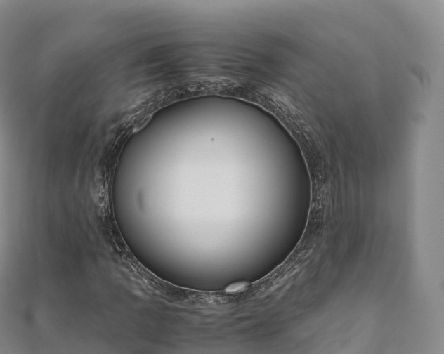 X0000110731109200906191520