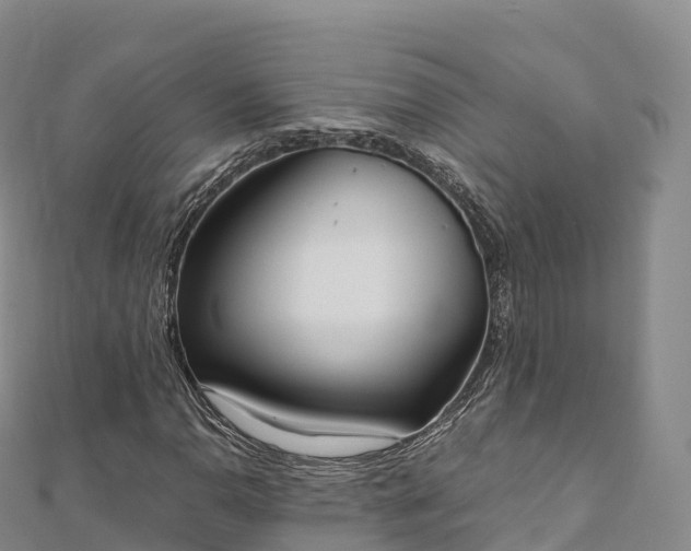 X0000110731110200906191520