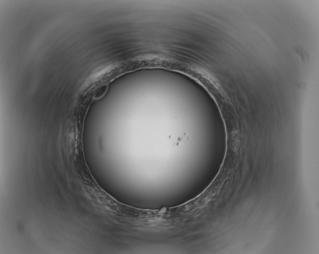 X0000110731111200906191520