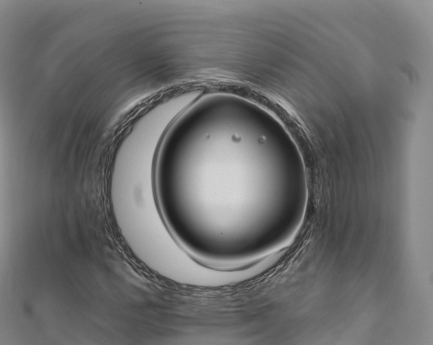 X0000110731112200906191520