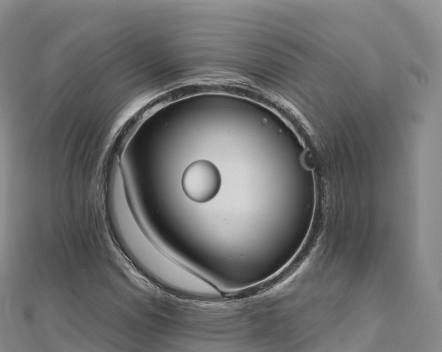 X0000110731114200906191520