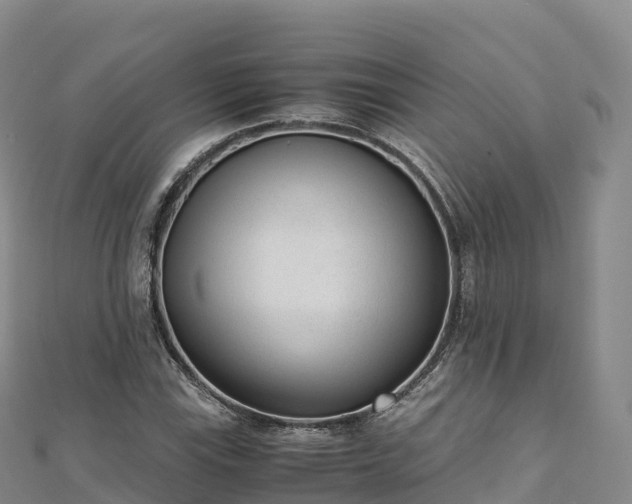 X0000110731115200906191520