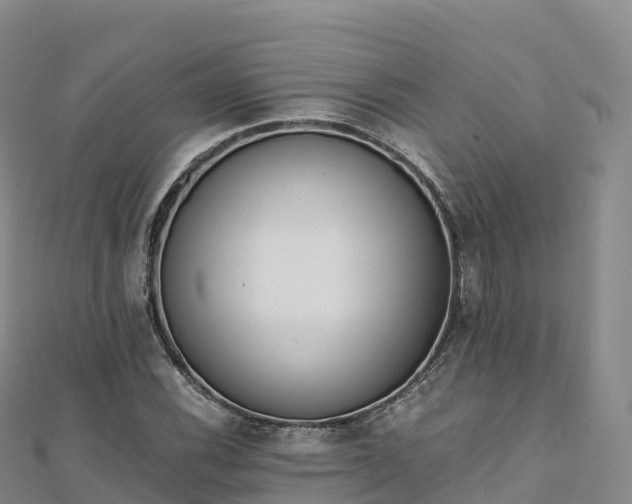 X0000110731116200906191520