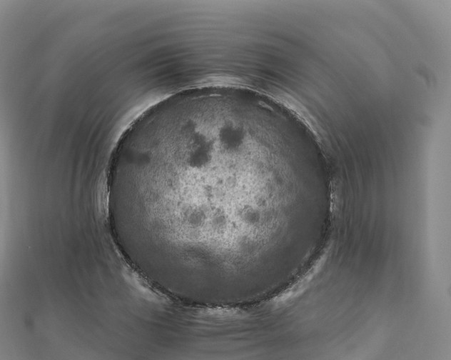 X0000110731117200906191520