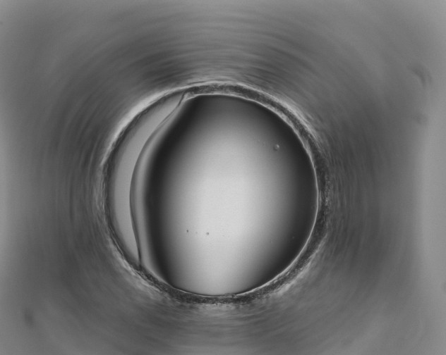 X0000110731118200906191520