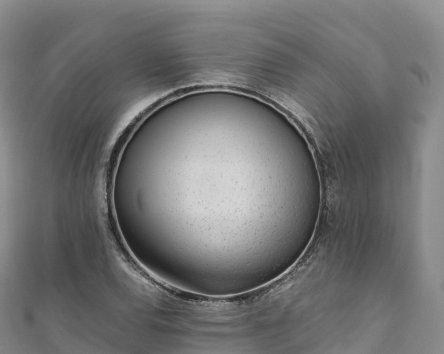 X0000110731120200906191520