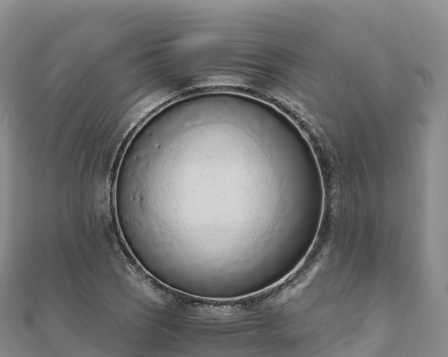 X0000110731121200906191520