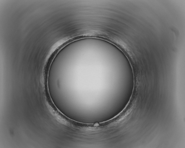 X0000110731122200906191520