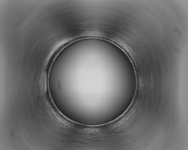 X0000110731123200906191520