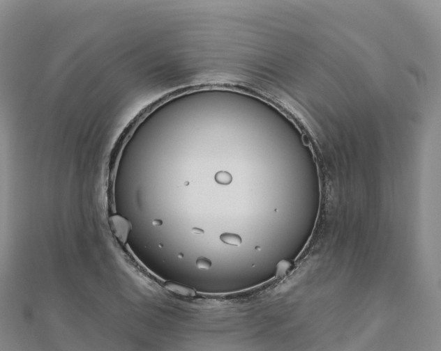 X0000110731124200906191520