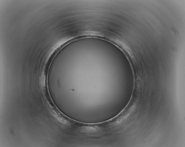 X0000110731125200906191520