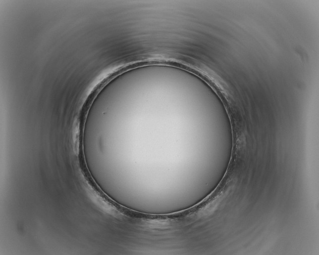 X0000110731126200906191520