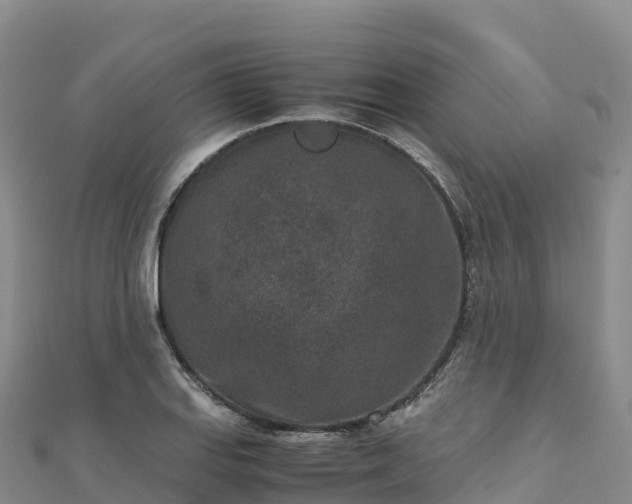 X0000110731127200906191520