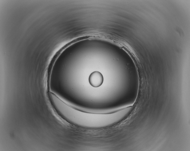 X0000110731128200906191520