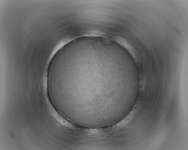 X0000110731130200906191520