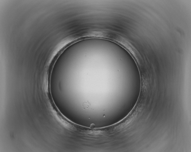 X0000110731131200906191520