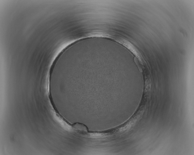 X0000110731132200906191520