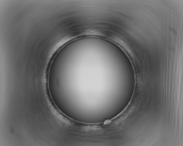 X0000110731133200906191520