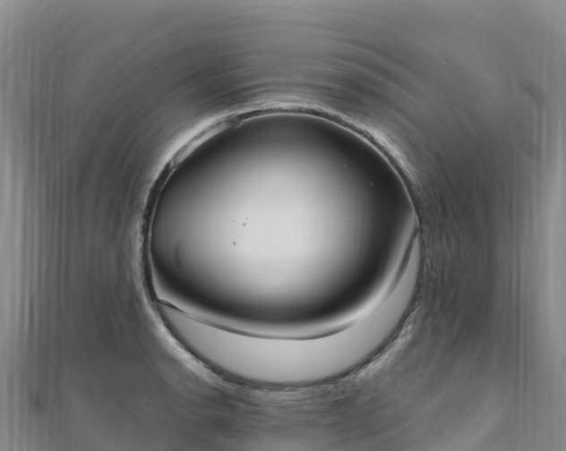 X0000110731134200906191521