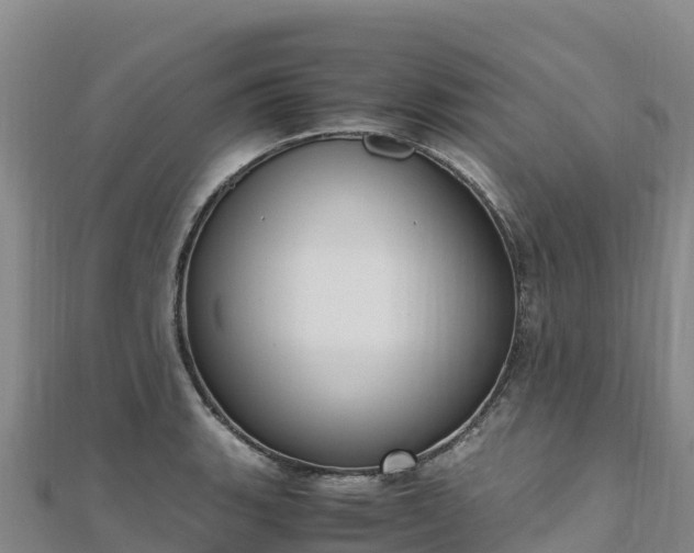 X0000110731135200906191521