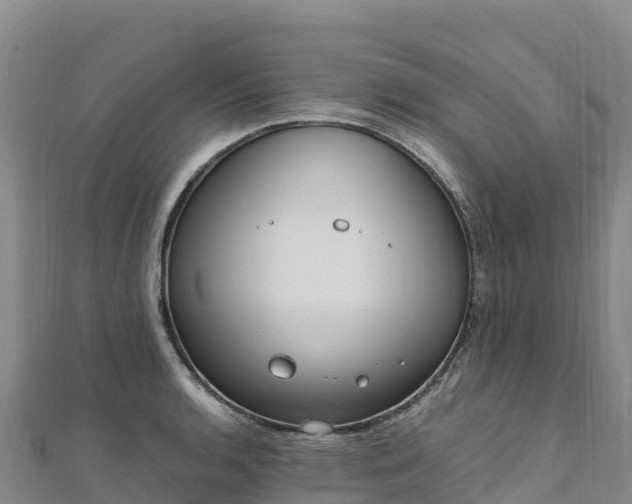 X0000110731136200906191521