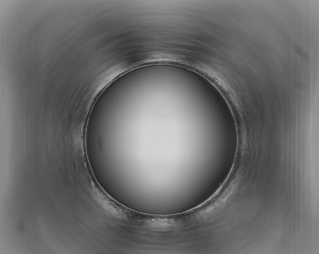 X0000110731137200906191521