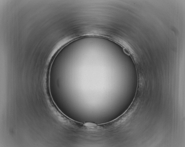 X0000110731138200906191521