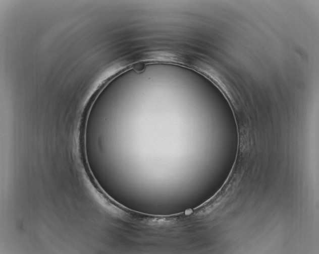 X0000110731139200906191521