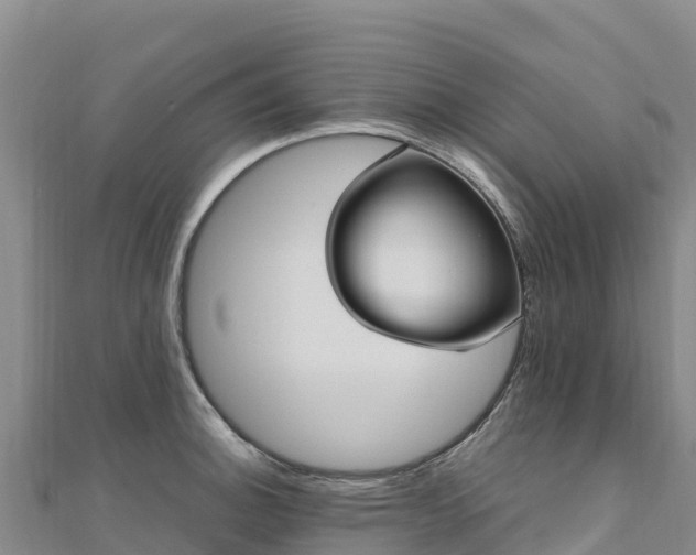 X0000110731140200906191521