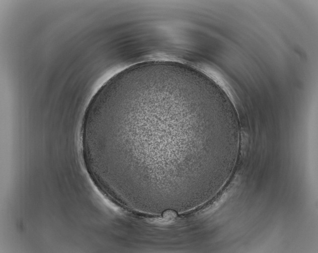 X0000110731141200906191521