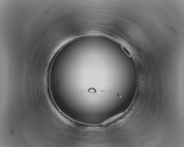 X0000110731142200906191521