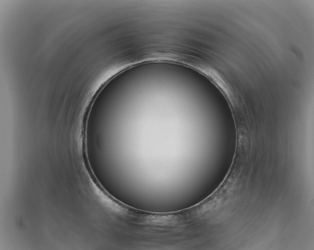 X0000110731143200906191521