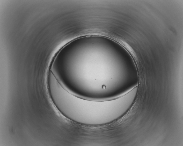 X0000110731144200906191521