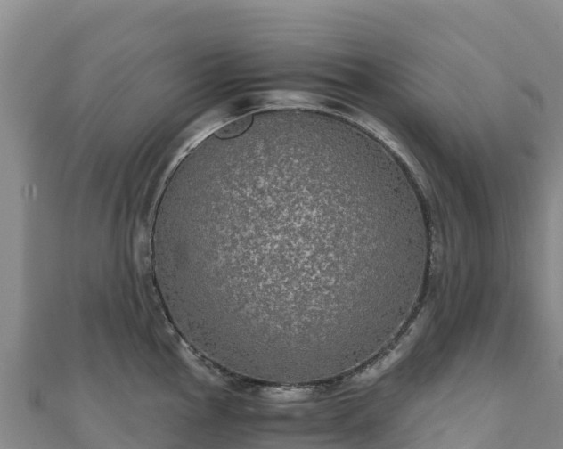 X0000110731145200906191521