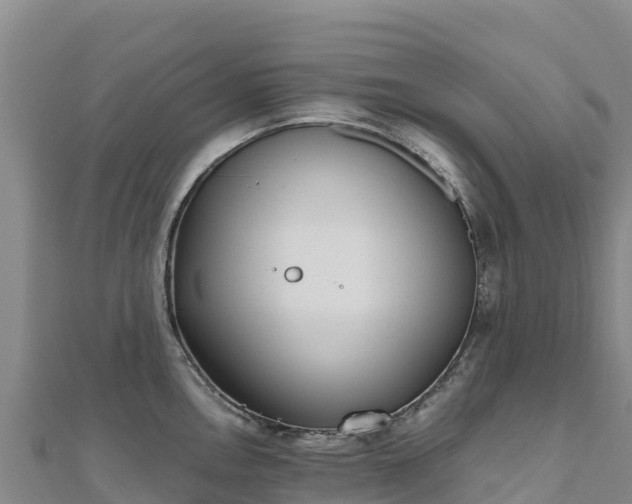 X0000110731146200906191521