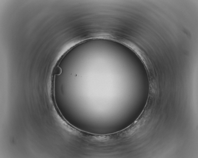 X0000110731147200906191521