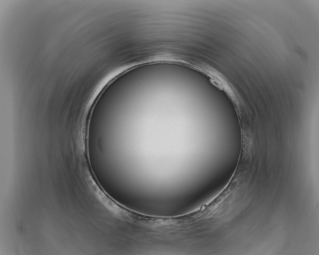 X0000110731148200906191521