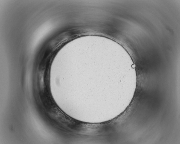 X0000110731150200906191521